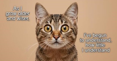 Older and wiser