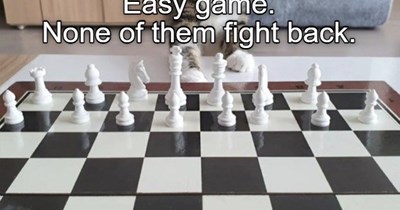 I win!