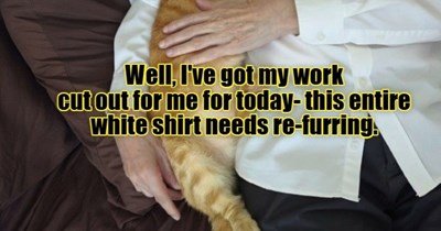 Busy day ahead