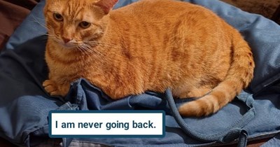 Bag escapee