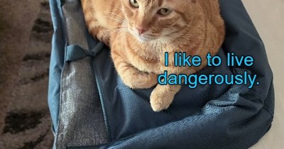 Living on the Edge