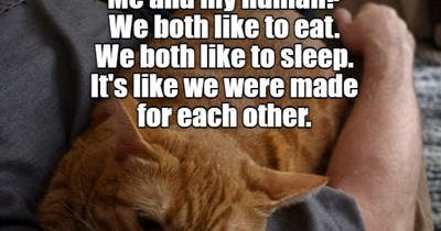 Like we were made for each other