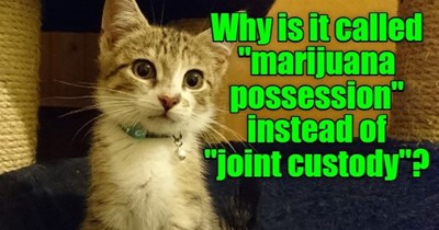 Inquiring minds want to know.