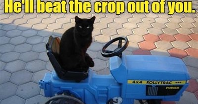 Then you'll soil yourself.