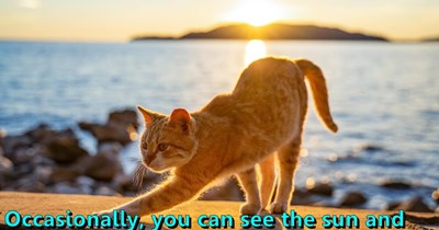 Occasionally, you can see the sun and the moon at the same time.