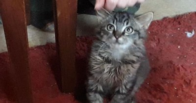 Curled fingers.