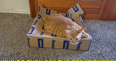 WHY DO THEY SAY THE BOX IS CHEWY WHEN IT'S REALLY CRUNCHY?