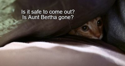 Is Aunt Bertha gone?