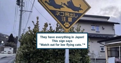 They have everything in Japan!