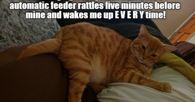 So annoying!
