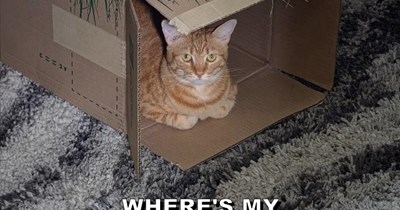 Where is it?