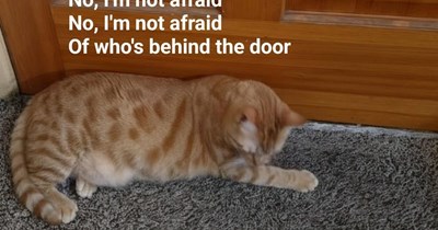 "Who's Behind The Door" by Zebra