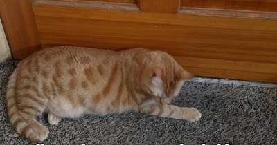 Why a closed door?