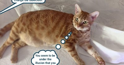 Know your place, human