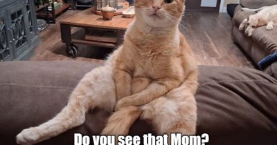 Do you see that Mom?