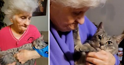 Adorably funny grandma pretends to hate her adopted kitten while cuddling and loving on him in secret: 'Yeah, he's cute, but I don't want nothing to do with him'