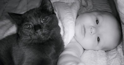 Couple catches their cat climbing into the baby's crib on the baby monitor every night, and they quickly realize that the rescued cat is not only theirs, she's the baby's too: 'She was like a tiny babysitter, taking over a shift'