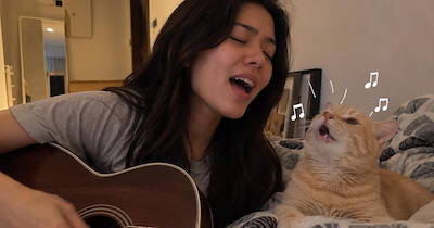 'He has something to say about everything': This ginger cat was abandoned for meowing too much, now his new owner sings with him
