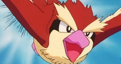 Pokemon Go Nerfs Pidgey Spawns. So Here's an Extra Daily Dose of Pidgey