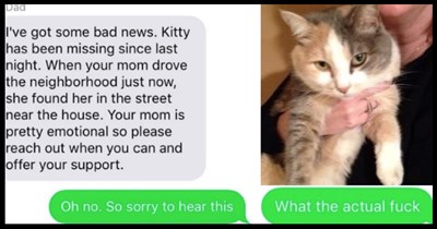Kids' Parents Mistakenly Bury and Mourn the Death of Their Family Cat