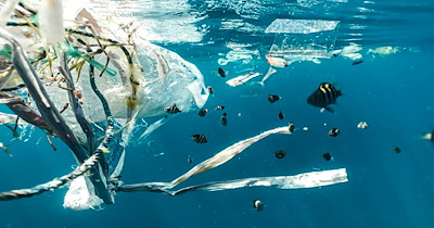 ‘Creators sell things they would never use’: Overconsumption is on the rise and influencers are to blame
