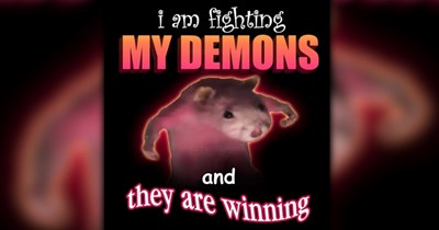 60 Mood Summarizing Memes to Send When You Don’t Have the Words to Explain Your State of Mind