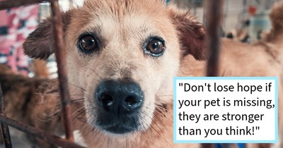 11 year old dog who disappeared for 3 days miraculously survives an all-day rainstorm, only to be found and returned to her family, pawrents say: ‘She's going to get both a microchip and a GPS tracking device on her collar’