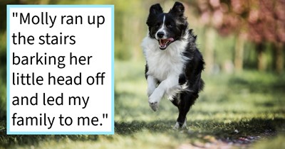 Family dog saves teenager’s life after sensing that something was wrong, alerting her whole family to the danger when she collapsed on the floor, teenager says: ‘I have no idea how she knew I wasn't well’