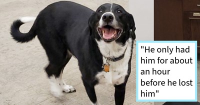 Lost dog helps pizza parlor employee become hero when they team up to find dog’s pawrent, resulting in heartwarming reunion down by the docks, rescuer says: ‘If I lost my dog I would want someone to go out of their way to get him back to me’