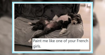 20 Howlarious Pupper Pawrent Posts of their Favorite Funny Canine Moments