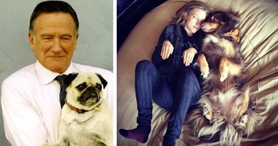 30 Pawdorable Pics of Hooman Celebrities Cuddling their Canine Children