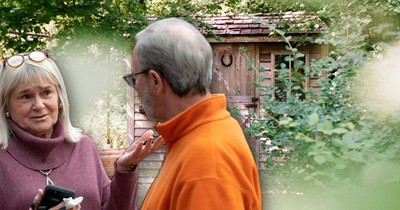 New homeowner builds shed next to property line without informing neighbor, neighbor submits repeated anonymous complaints to the building inspector to get it torn down despite being built to code: 'Next day I got a stop build order'