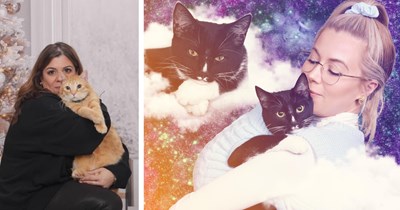 22 Cringe JC Penny Portraits of Pawrents and their Pampered Cat Children