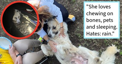 Stray dog mom found hiding under house with puppies rescued after 6 months by local family who gave her furever home with canine sibling, dog pawrent says: ‘Bertha’s story is a wild one, but we’re hoping we can give her the best life we can.’