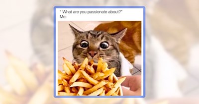 24 Deliciously Derpy Cat Memes for People Sharing Plates With Their Foodie Felines