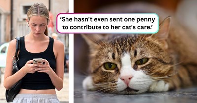 37-year-old asks friend to keep her cat while she moves, promises to fund the foster process, but disappears for four years: 'It hasn't been her cat in years, she abandoned it.'
