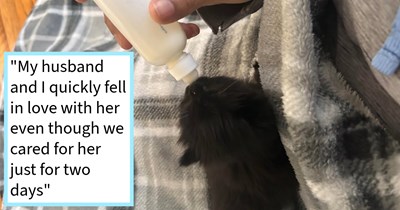 6-week-old kitten abandoned by cat mom gets rescued and rehomed with 6-month-old kitten who instantly falls in love with her: ‘We miss the little girl, but couldn’t be happier for her.’