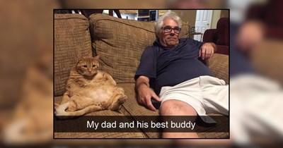 31 Adorably Aesthetic Furballs of Fun for the Whawl Family