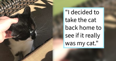 Family who gave up on finding missing outdoor cat after 6 years of companionship, surprised to find the kitty skinny and malnourished 2 months later at pawrent’s gym, cat dad says: ‘I’m buying a collar with my name and number so this never happens again.’