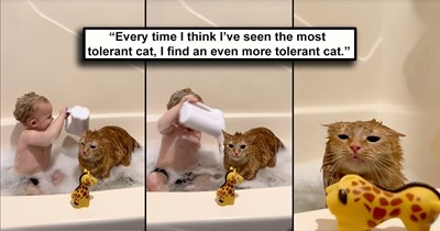 Orange cat deemed ‘Most Tolerant Cat’ by the internet after a video of him taking a bath with his favorite tiny human goes viral: ‘They were babies together!’