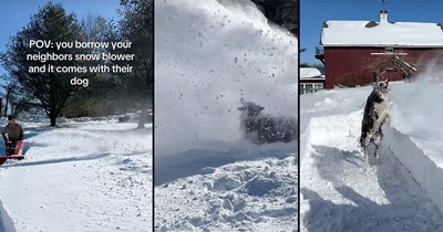 Rural homeowners ask to borrow their neighbor's snow blower, they say yes but only if they also take their dog with them, howlarity ensues: ‘She likes to play in the snow…'