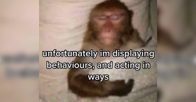 23 Memes That Are Approaching Actualization