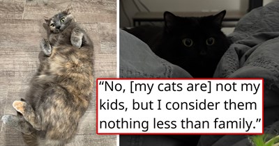 'Ex-boyfriend wanted me to give up my cats, and that’s why he’s an ex': Girlfriend thinks the man she's dating is "the one" until, out of nowhere, he asks her to get rid of her cats, quit her job, and move to another state