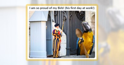 25 Happy Bird Memes Simply Celebrating the Joy of Being Bonkers