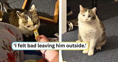 Neighbor's cat stranded out in a snow storm taken in by a kind person, given shelter, safety, and warmth: 'I don't understand my neighbors at all.'