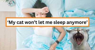 'I'm losing my mind': Sleep-deprived cat owner can't figure out a solution to her kitty's early meowrning wakeup calls, she seeks internet advice on best next steps for a full night's rest
