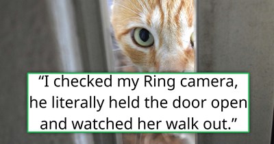 'I packed his bags and told him to leave': Boyfriend of 8 months purposefully lets indoor cat outside, because he believes "cats belong in nature", girlfriend finds the terrified kitty and kicks the boyfriend out