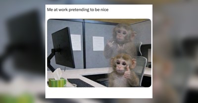 The Best Relatable Work Memes This Week