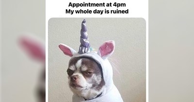 'I've missed social cues you could only dream of': 26 Memes that'll do just fine