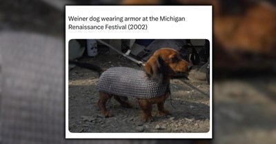 21 Heartwarming Dog Memes for Your Morning Cup of Pawsitivity (March 7, 2026)